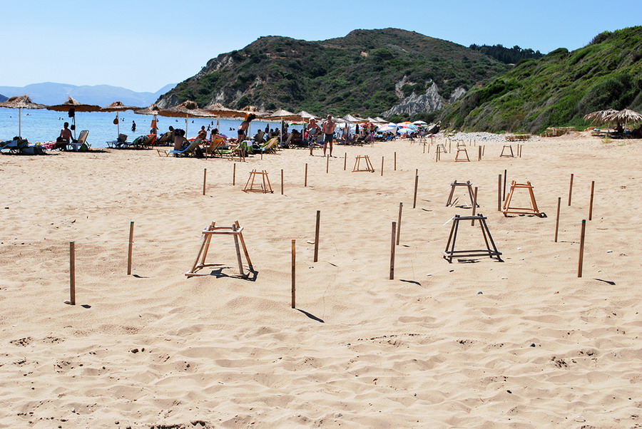  Kornjače CarettaCaretta 